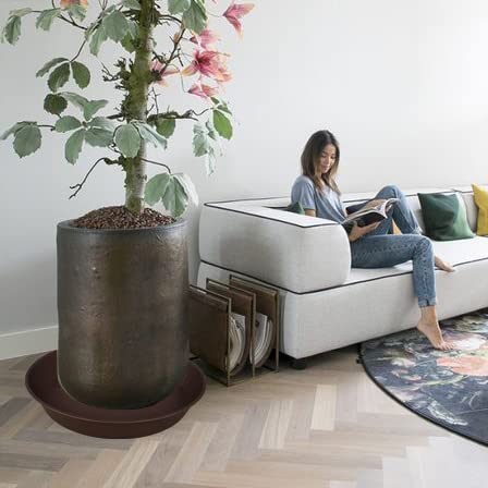 Bleuhome two saucers stacked for compact storage and space-saving benefit