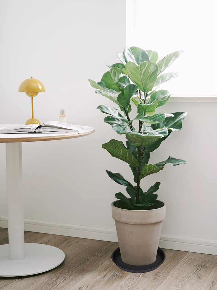 Bleuhome two saucers stacked to show compact storage and space-saving benefit