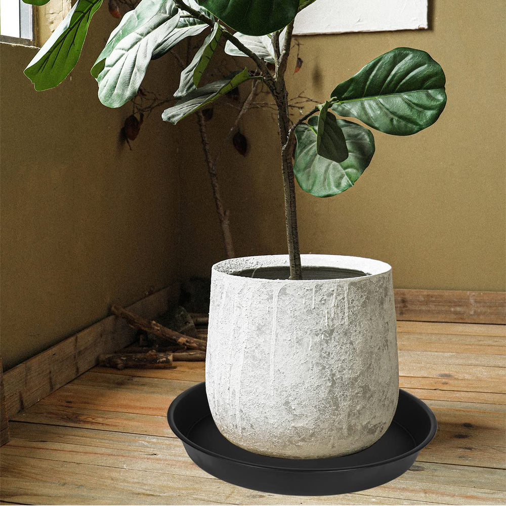 Bleuhome bowl filled with seed showing multipurpose feeder and bird attraction benefit