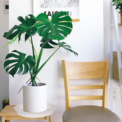Bleuhome saucer under potted plant catching drainage to protect floors and furniture