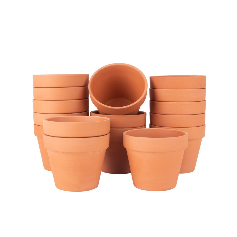 BLQH lifestyle windowsill display of potted succulents creating a decorative indoor garden