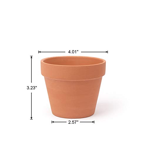 BLQH single pot with succulent planted illustrating ready-to-use styling benefit