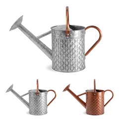 BLstyle front view of galvanized watering can showing elegant shape and durability
