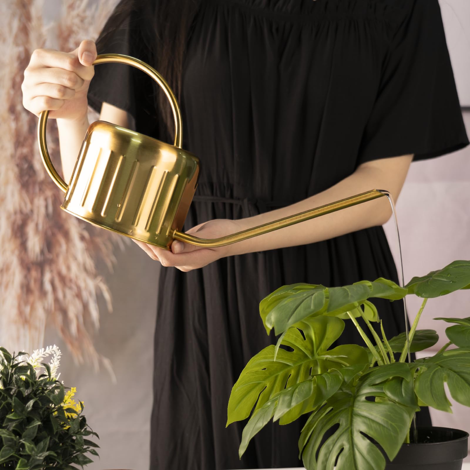 BLstyle watering can in use on windowsill providing gentle care for houseplants