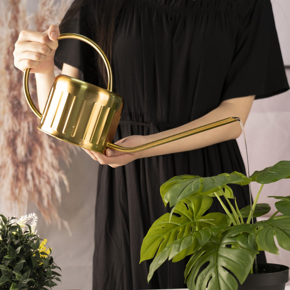 BLstyle watering can in use on windowsill providing gentle care for houseplants