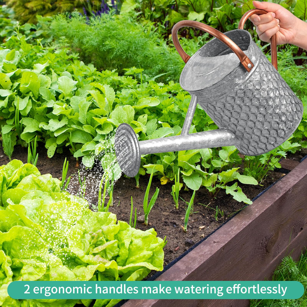 BLstyle watering can placed by garden basin showing outdoor durability benefit
