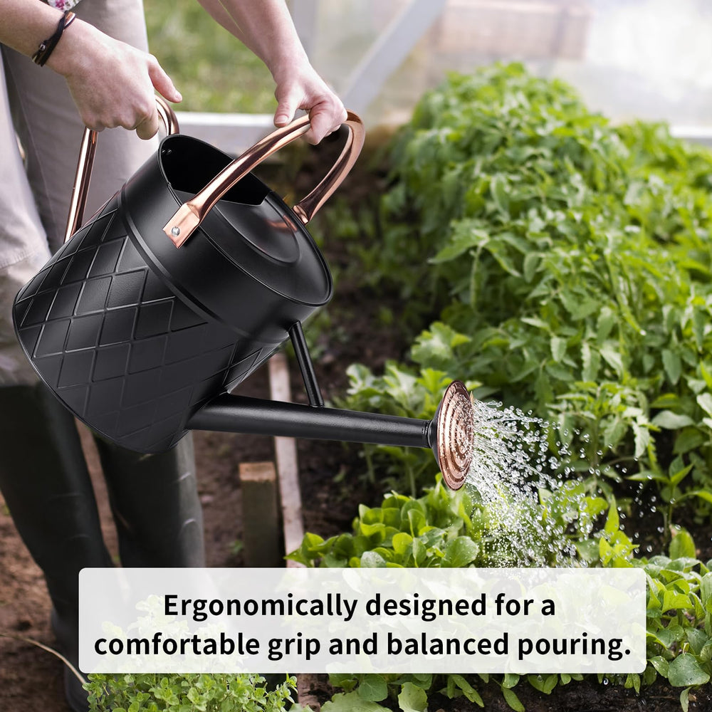 BLstyle removable spray spout detail showing easy detach and versatile watering benefit