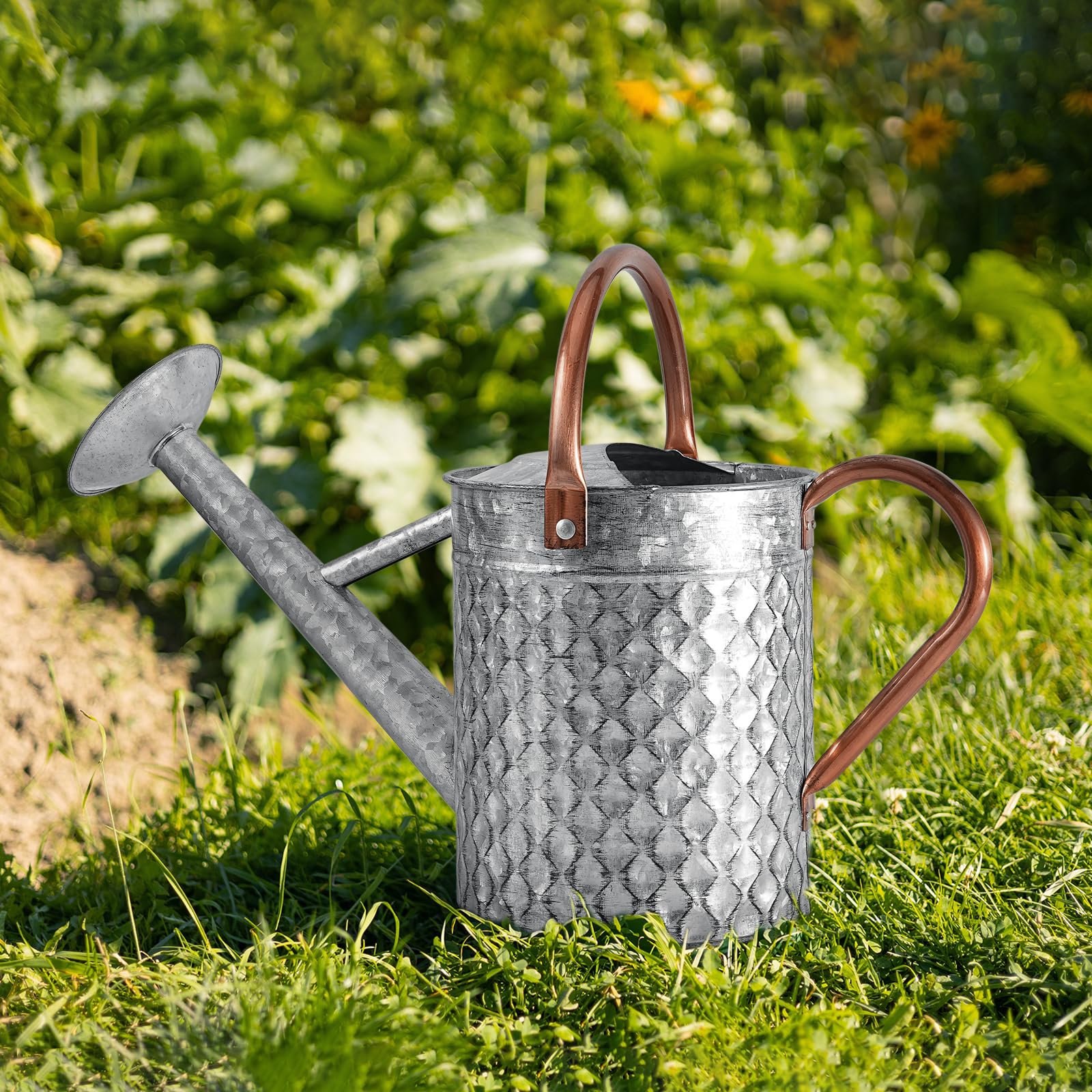BLstyle size comparison with hand illustrating 1-gallon capacity and lightweight benefit