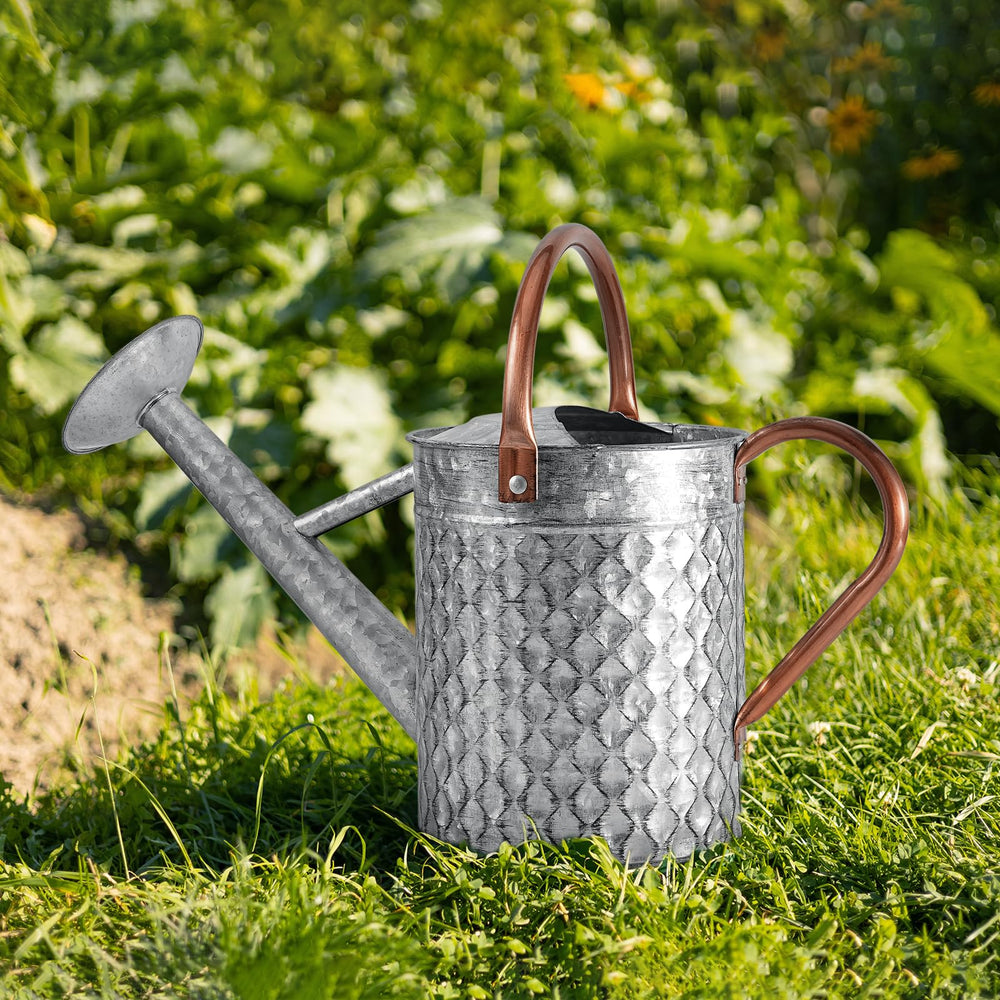 BLstyle size comparison with hand illustrating 1-gallon capacity and lightweight benefit