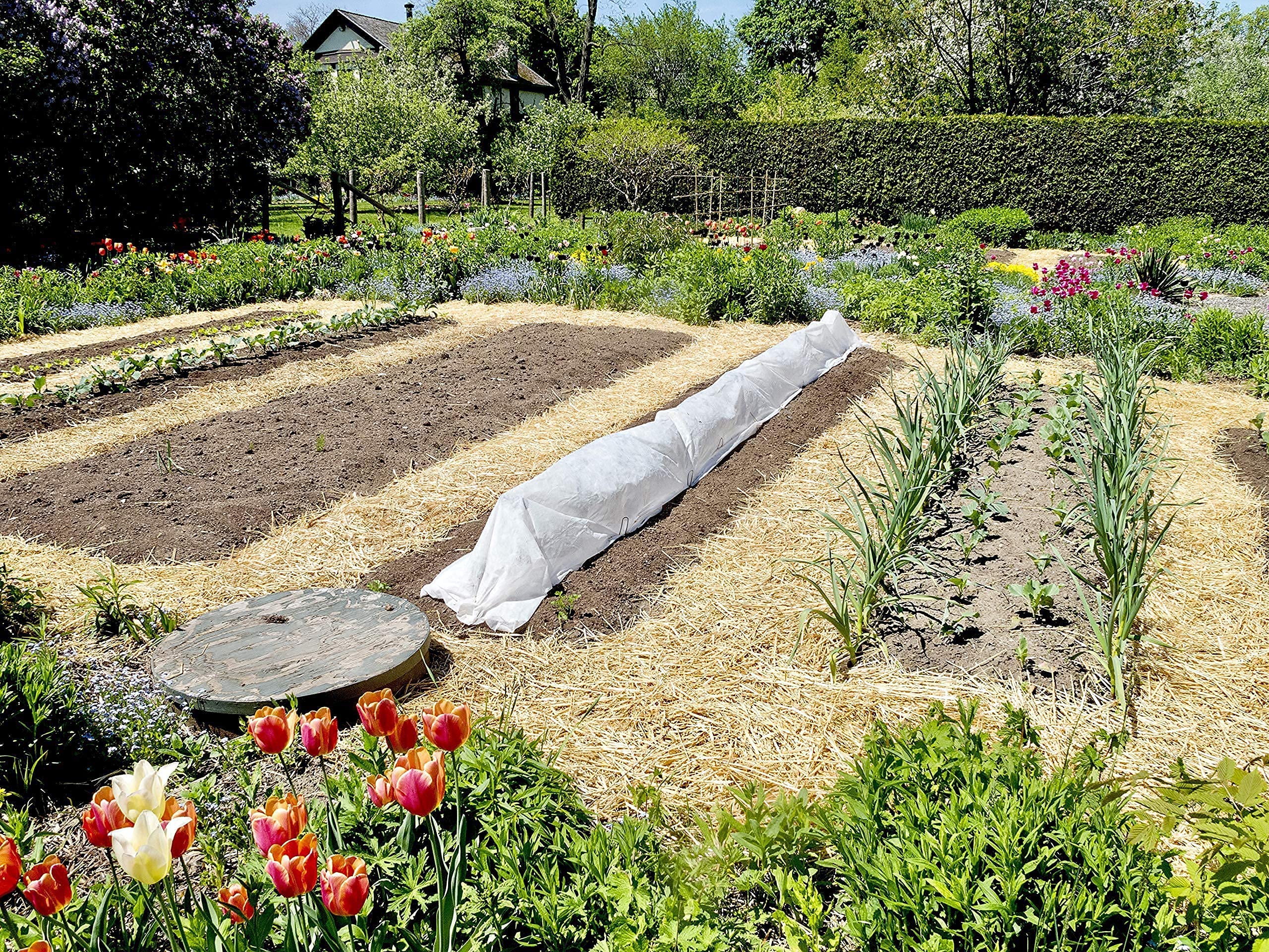 Blue Mountain Hay layered in compost to add organic matter and balance