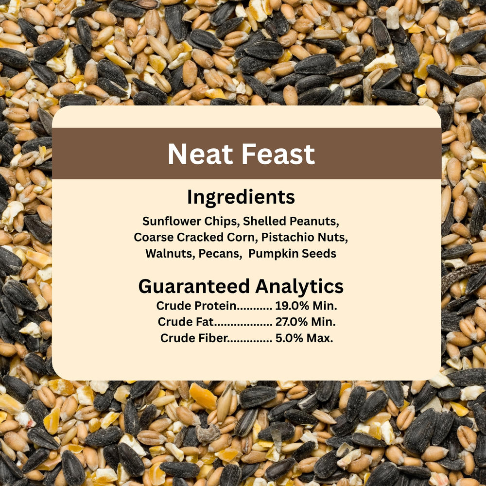 Blue Seal mix in a hanging feeder with birds visiting to increase backyard sightings