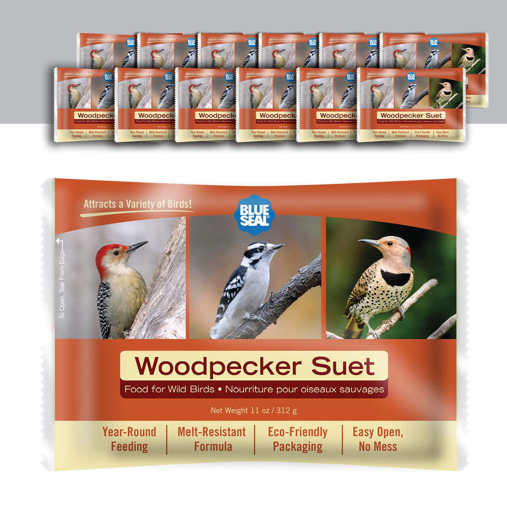 Blue Seal front packaging showing 12-pack and branding benefits