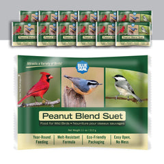 Blue Seal front packaging showing 12-pack and product benefits for easy feeding