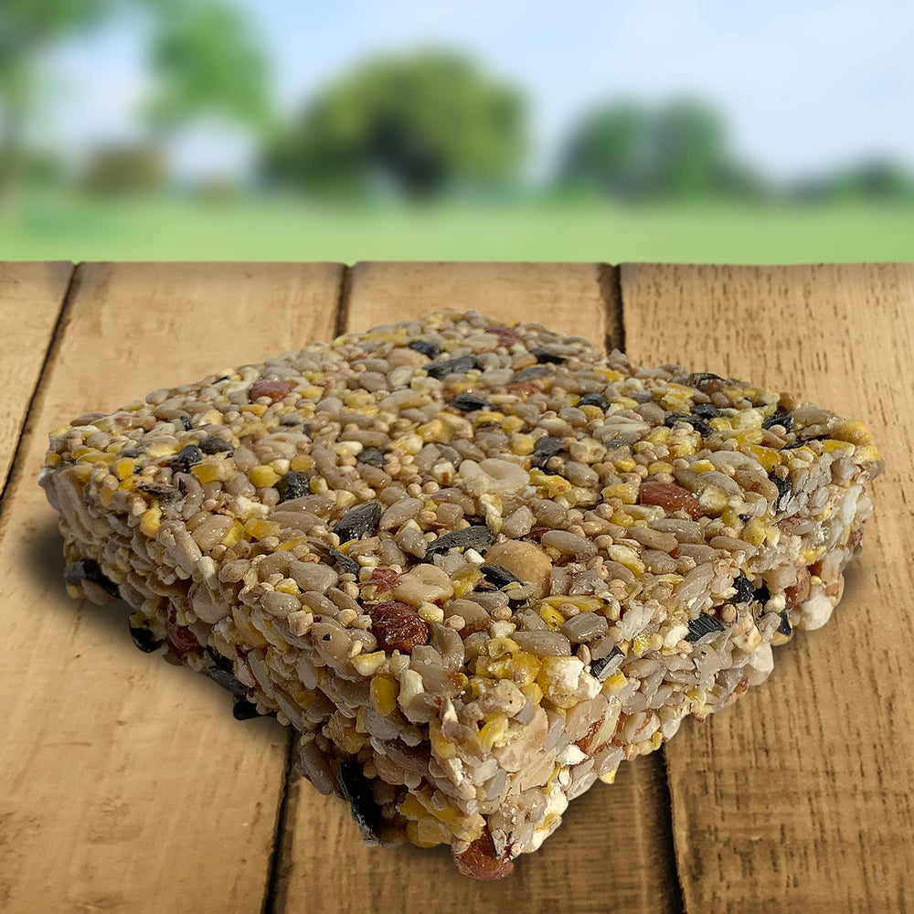 Blue Seal suet bar placed in a standard feeder attracting woodpecker for quick energy