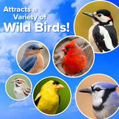 Blue Seal birds feeding on suet cake demonstrating attraction benefit