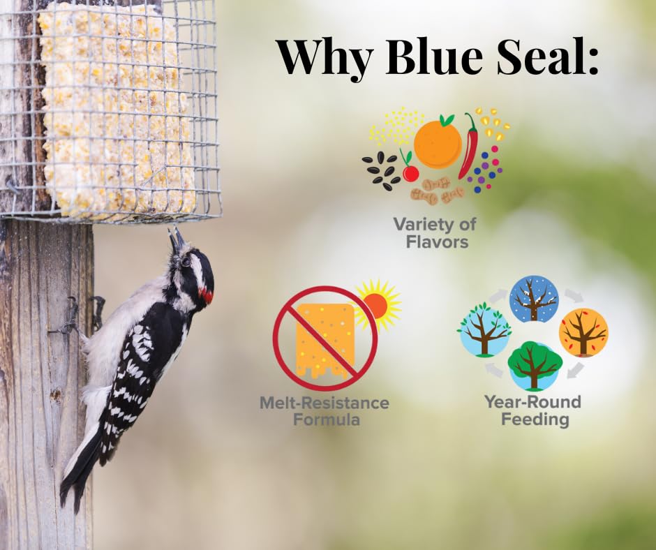 Blue Seal easy-open recyclable wrapper detail reducing waste