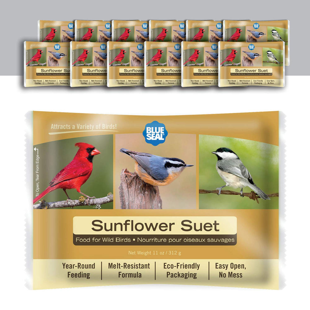 Blue Seal front packaging showing 12-pack and product branding for clear identification and convenience
