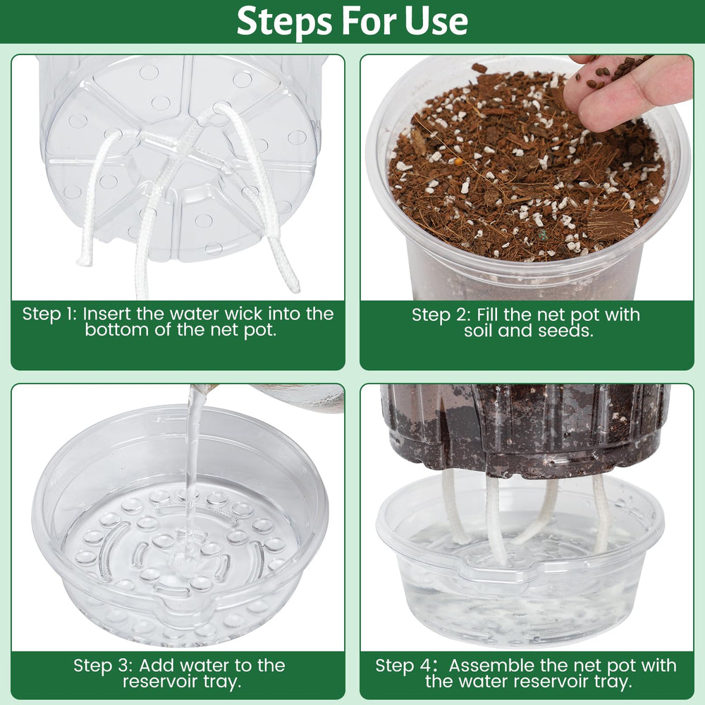 Bluepro transparent pot revealing healthy roots and soil level for easier plant monitoring