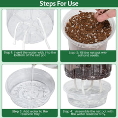 Bluepro transparent pot revealing healthy roots and soil level for easier plant monitoring