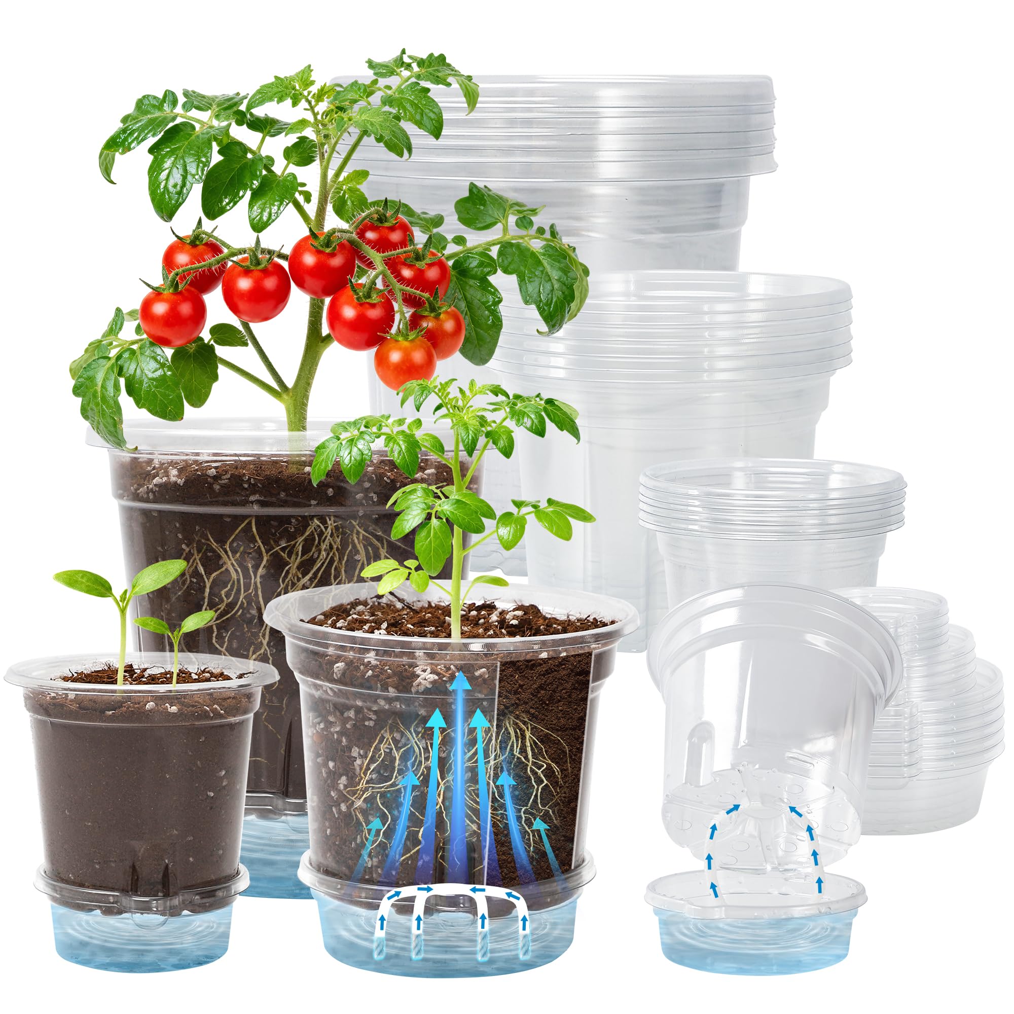 Bluepro 18-pack front view showing pots and reservoir, easy watering benefit