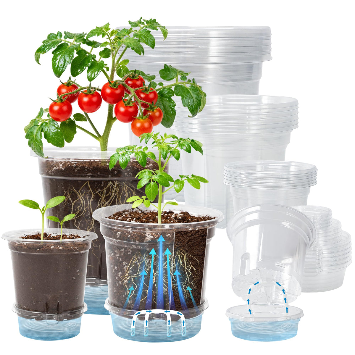Bluepro 18-pack front view showing pots and reservoir, easy watering benefit