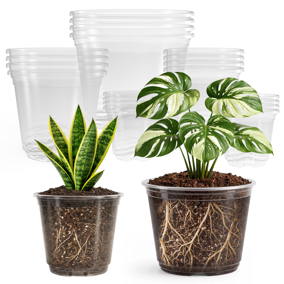 Bluepro front view of 20-pack clear nursery pots showing all sizes and packaging benefits