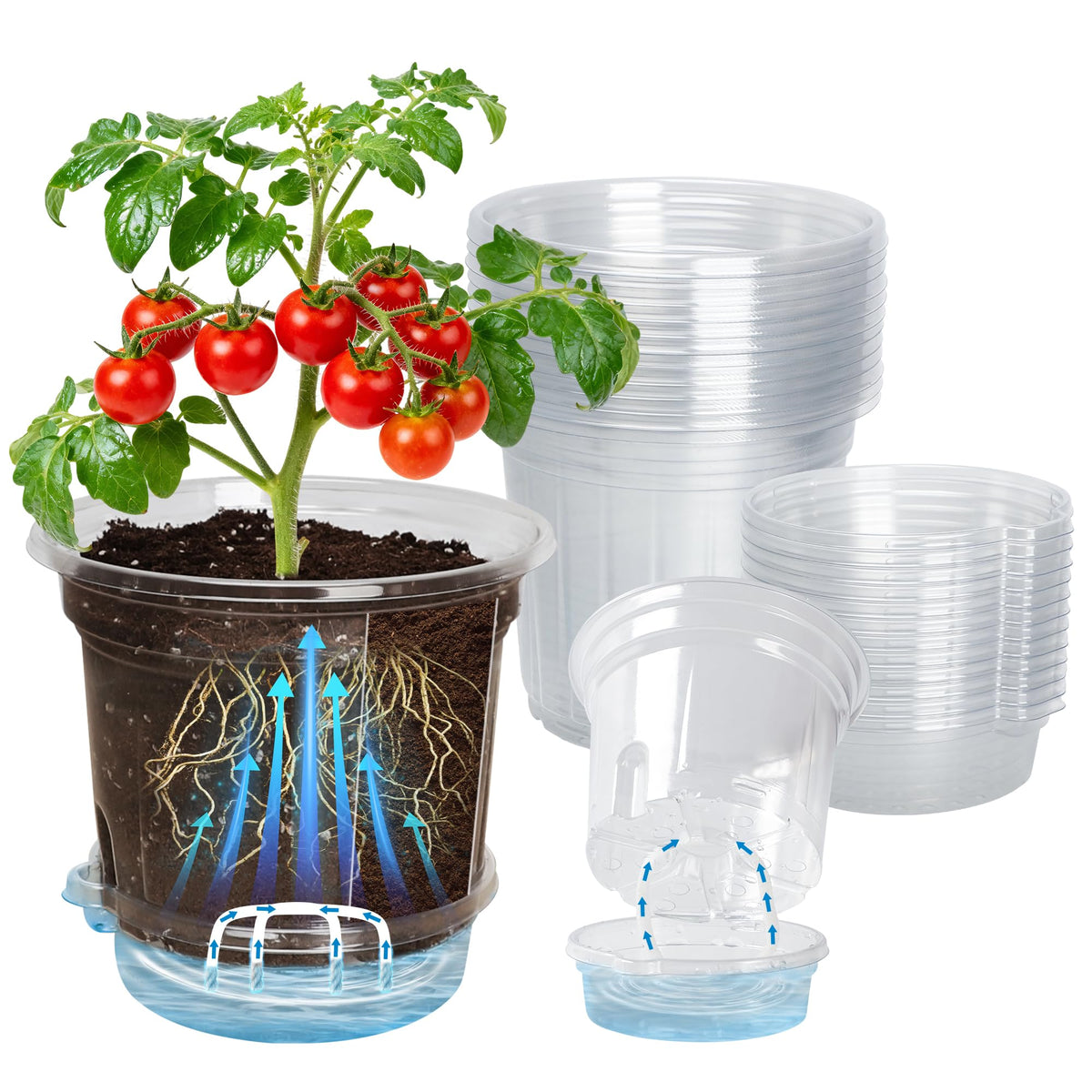 Bluepro front view of 12-pack clear 6.5-inch pots showing organized set and trays for easy planting