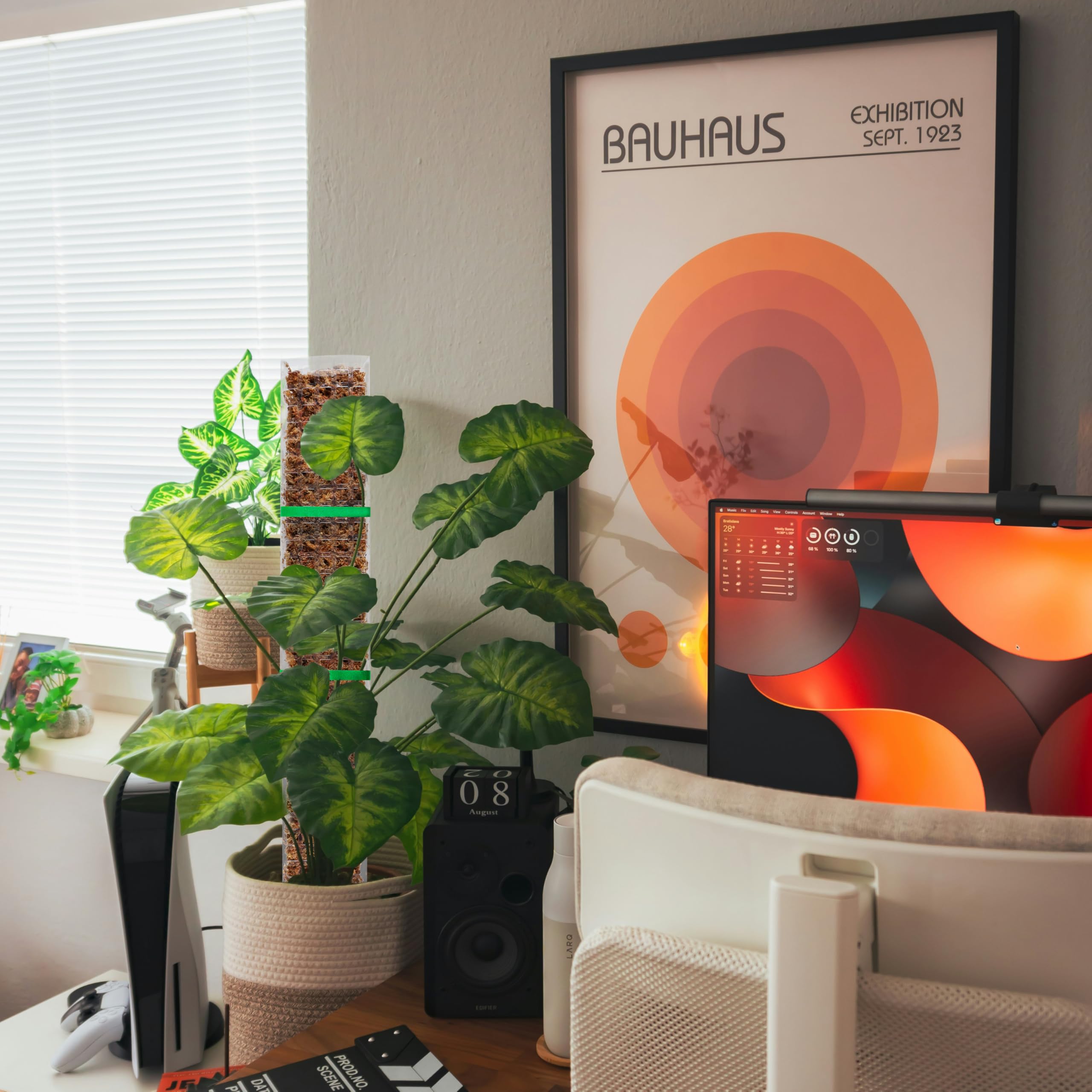 Bluepro lifestyle shot on shelf showing multiple supported plants and tidy growth