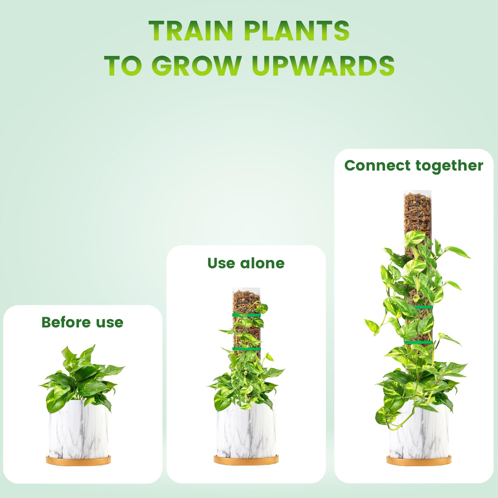Bluepro garden ties securing stems to pole demonstrating neat plant training