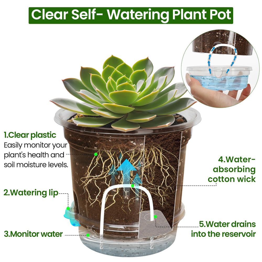Bluepro pot showing visible roots, enabling confident repotting decisions