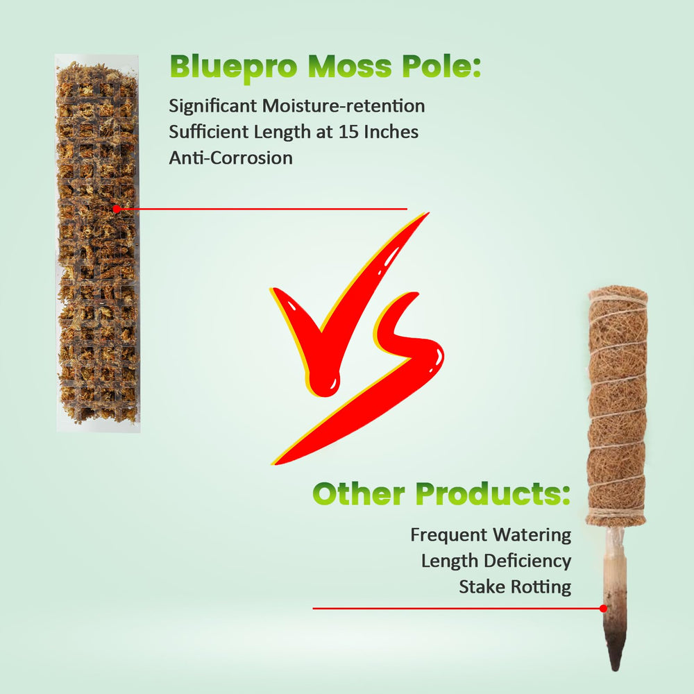 Bluepro open pouch of sphagnum moss showing moist texture benefits roots
