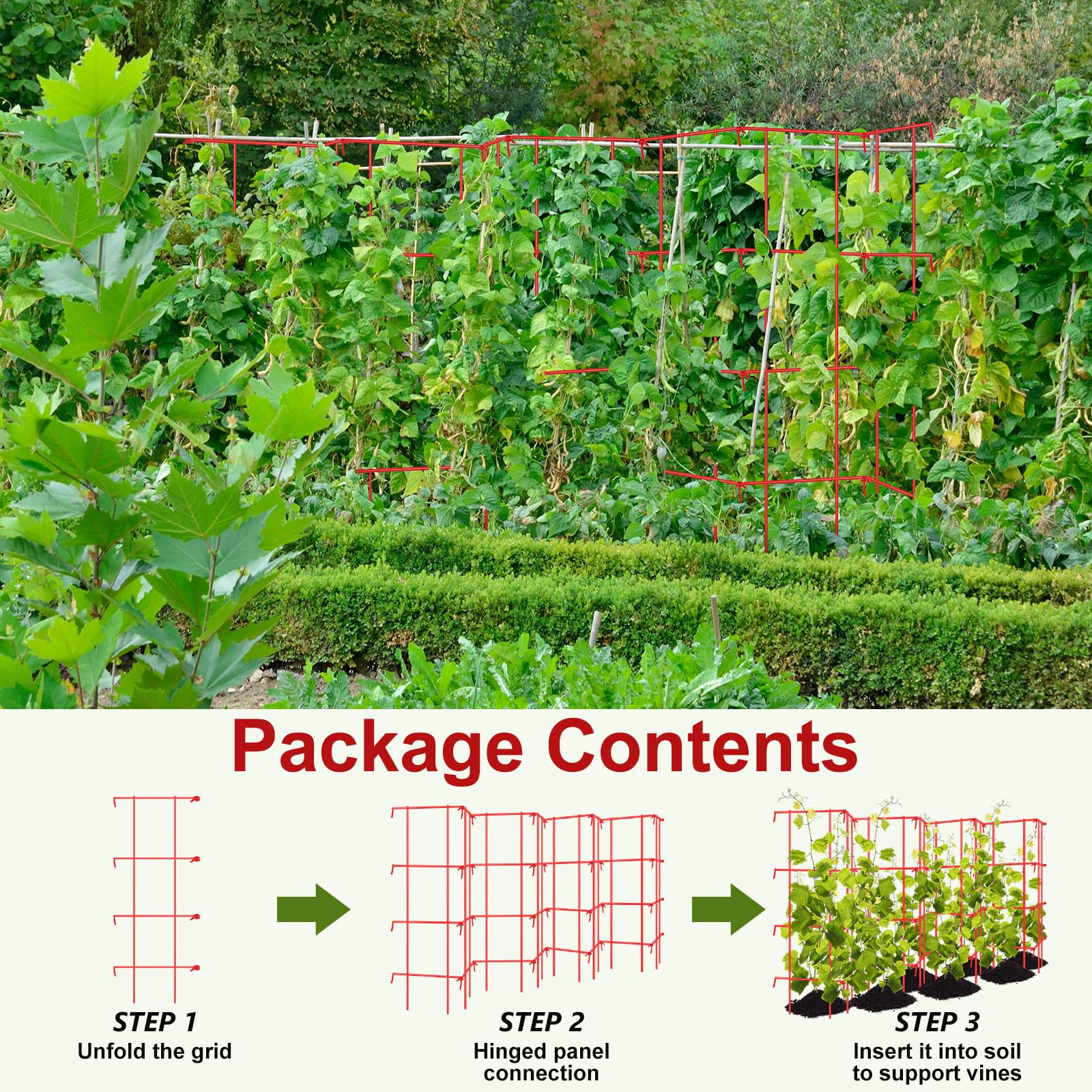 Blulu anchored in raised bed demonstrating stable support for tomatoes