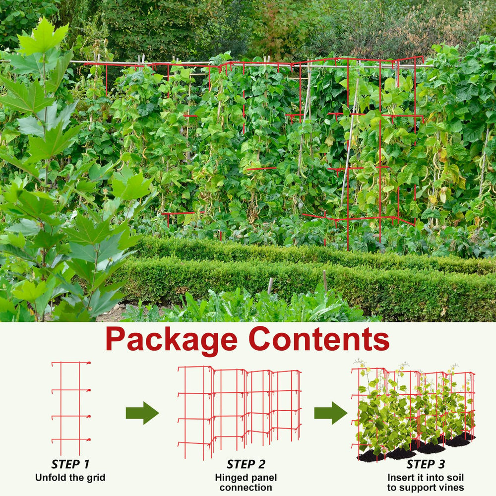 Blulu anchored in raised bed demonstrating stable support for tomatoes