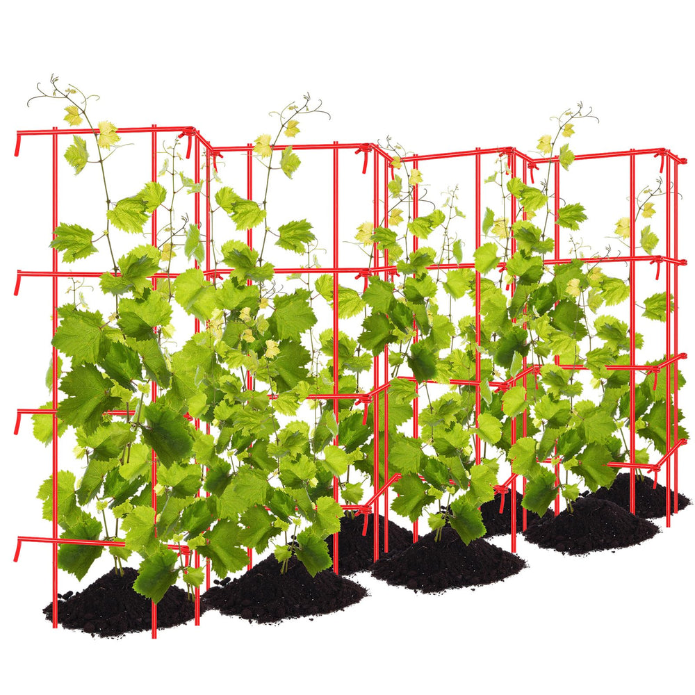Blulu front view expanded trellis showing full 9-foot support and cleaner plants