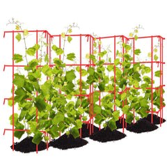 Blulu front view expanded trellis showing full 9-foot support and cleaner plants