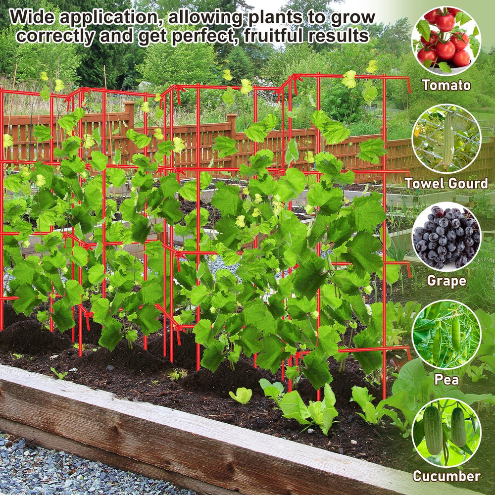 Blulu in use with climbing peas illustrating easier harvesting and airflow