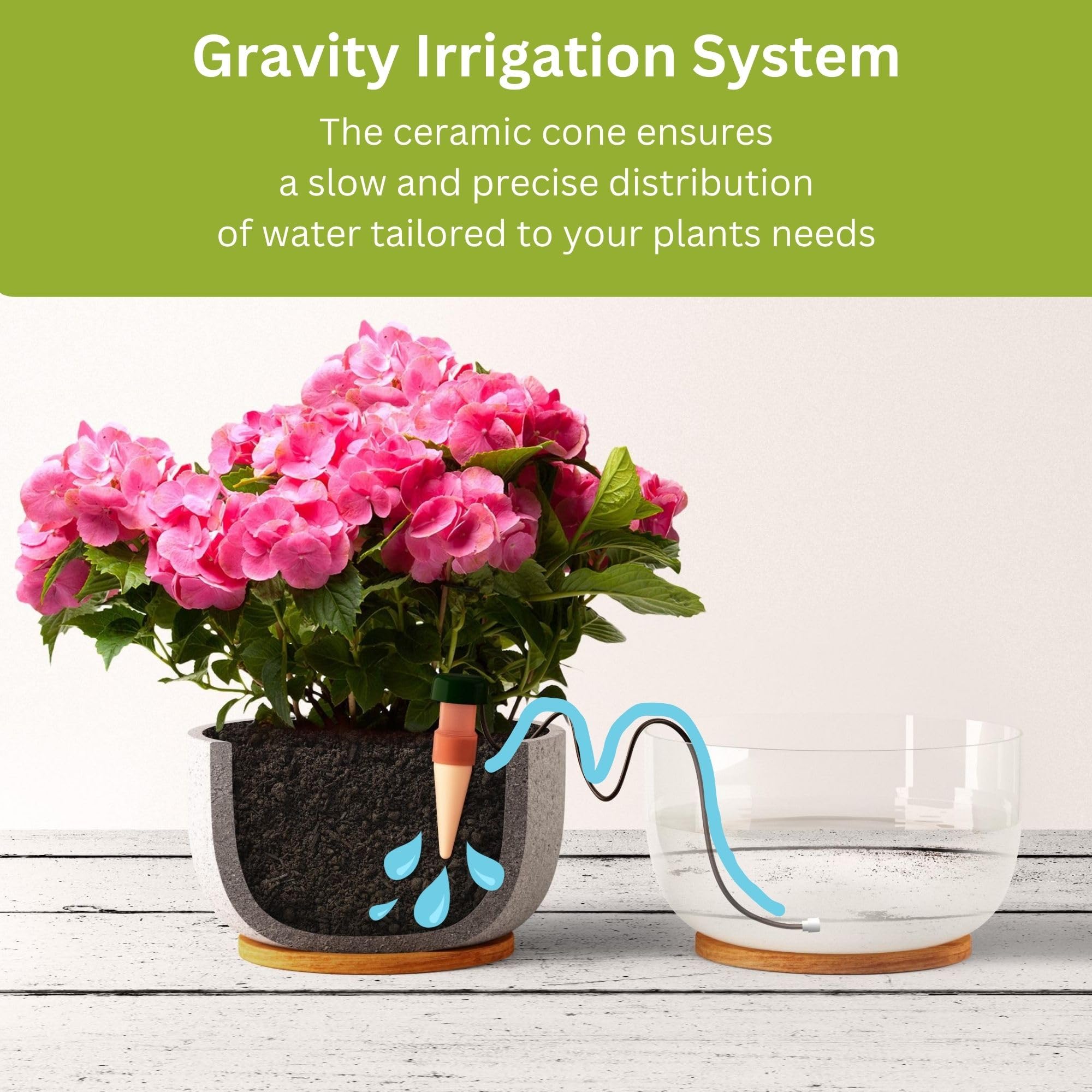 Blumat multiple stakes in large planter for even moisture distribution