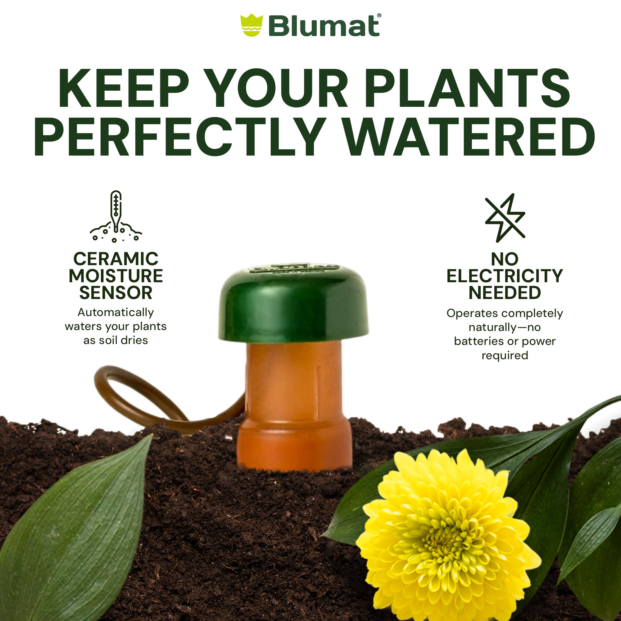 Blumat setup across multiple pots offering consistent watering benefits