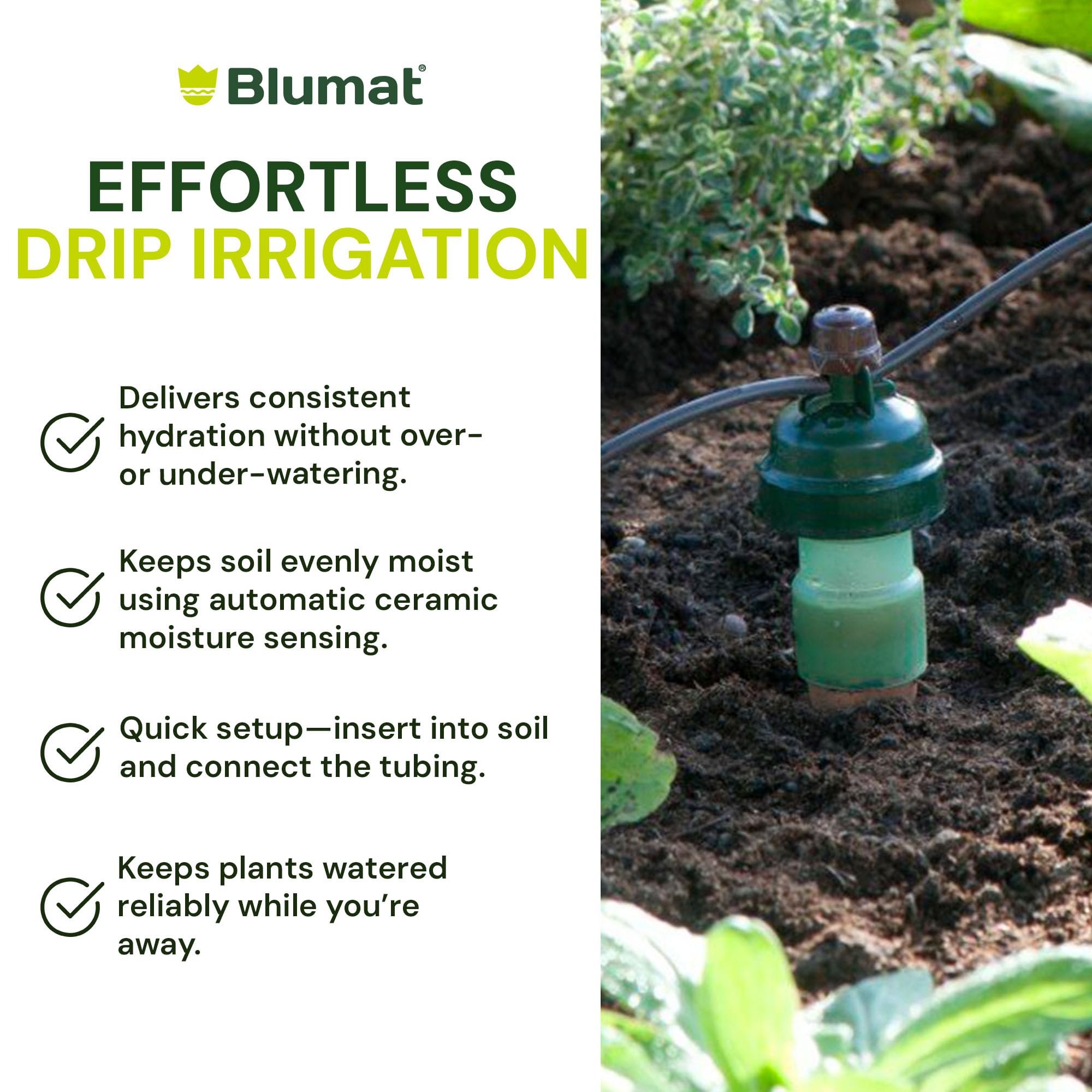Blumat reservoir connection to a bucket highlighting gravity-fed reliability