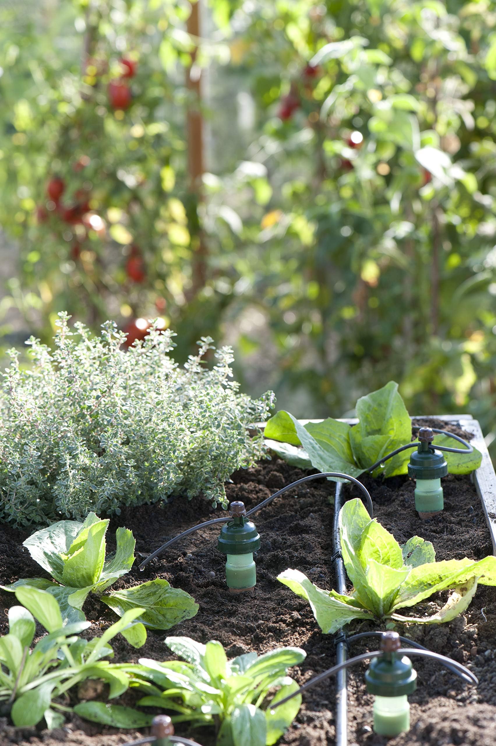 Blumat scale comparison with common pots showing compact, space-saving design
