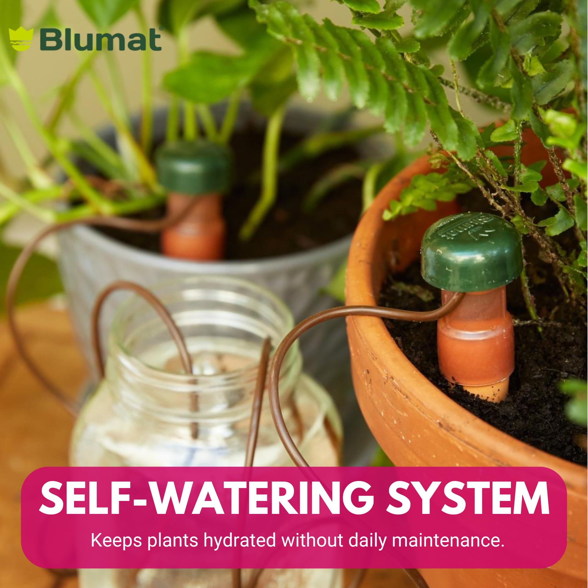 Blumat stake depth comparison in soil illustrating deeper reach for larger planter benefit