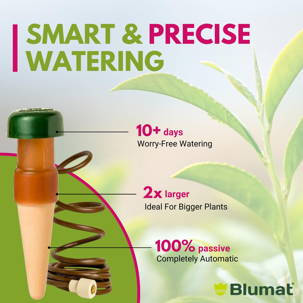 Blumat stake inserted in a large pot demonstrating even root-zone hydration benefit