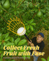 BlumeTrec claw grip detail demonstrating secure hold that reduces dropped fruit