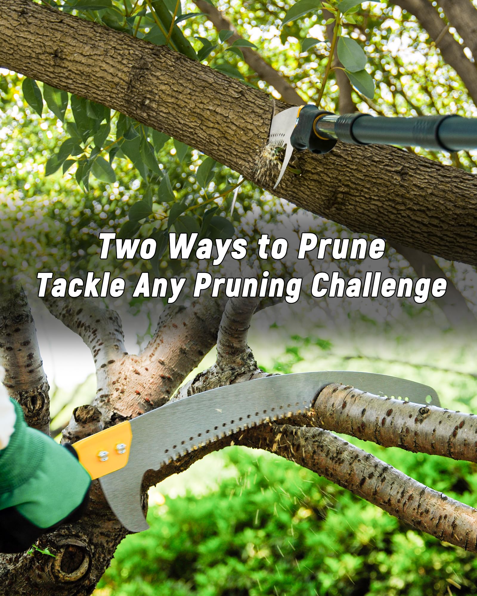 BlumeTrec saw cutting a branch showing efficient debris ejection