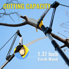 BlumeTrec extended pole in use trimming high branches safely from ground