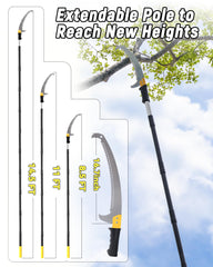 BlumeTrec fully extended pole saw demonstrating safe high-reach pruning