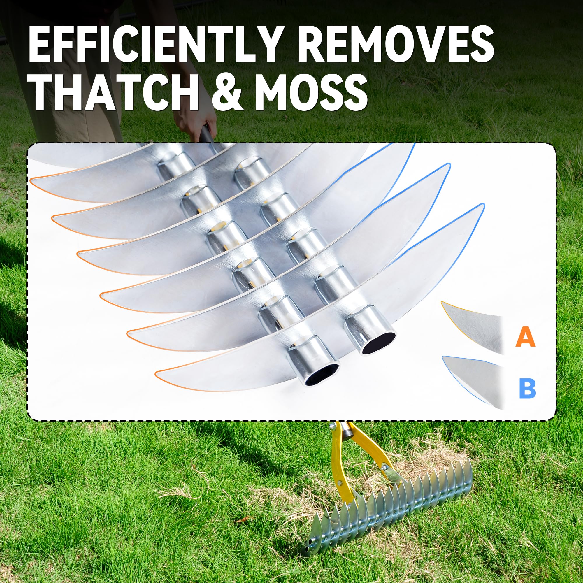 BlumeTrec rake removing dead grass in lawn for improved airflow and health