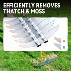 BlumeTrec rake removing dead grass in lawn for improved airflow and health