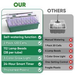 BlumWay grow light illuminating seedlings for faster, uniform early growth