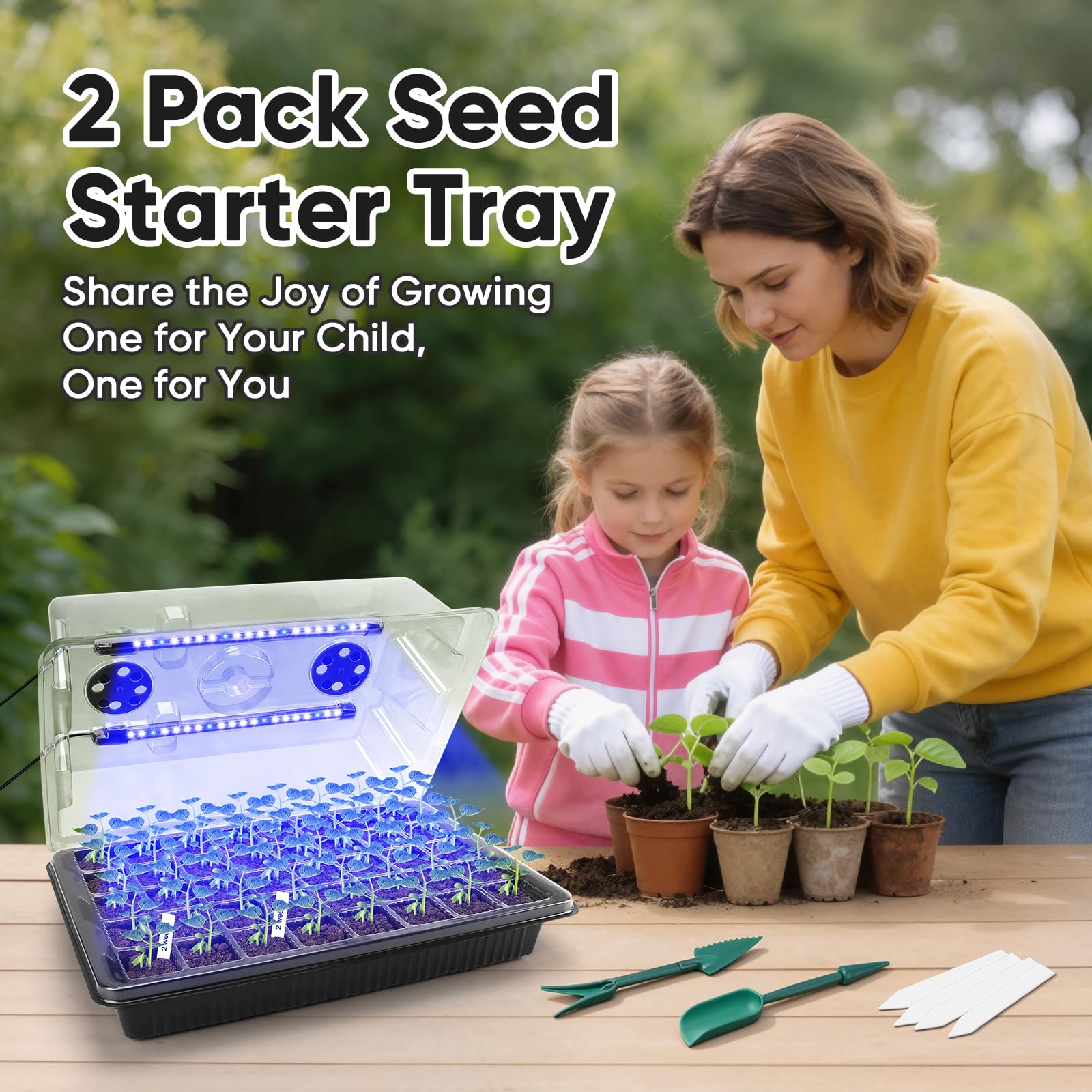BlumWay starter kit on windowsill showing indoor gardening convenience